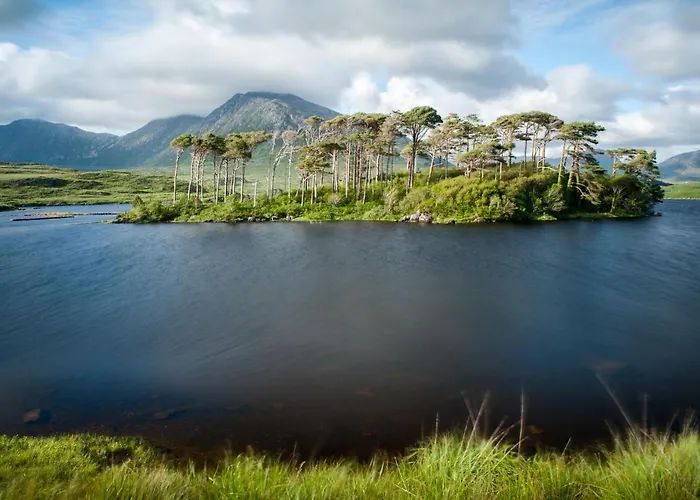 Διαμέρισμα 2